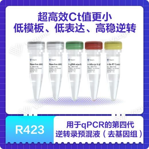 HiScript IV RT SuperMix for qPCR（+gDNA wiper） 商品图0