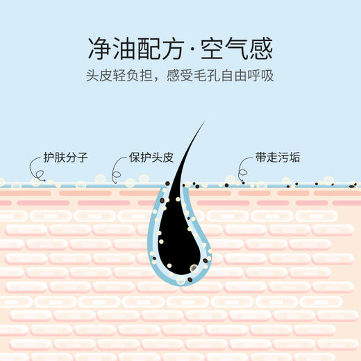 【甄沐线下】甄沐-海岸松控油洗发水360ml*2 商品图2