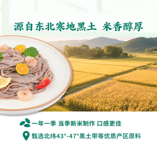 谷品新约 无麸质直面条无小麦无蛋奶饮食品早晚餐0盐0脂糙黑小米桥本过敏宝 商品图4