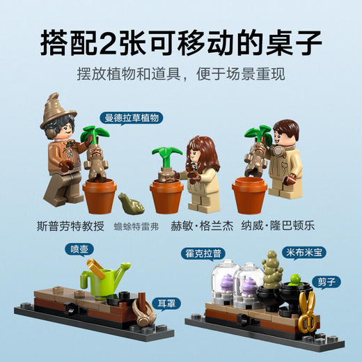 乐高积木L76445乐高哈利波特系列霍格沃茨™城堡：草药课 商品图3