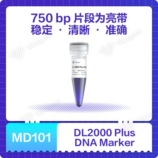 DL2000 Plus DNA Marker 商品图0