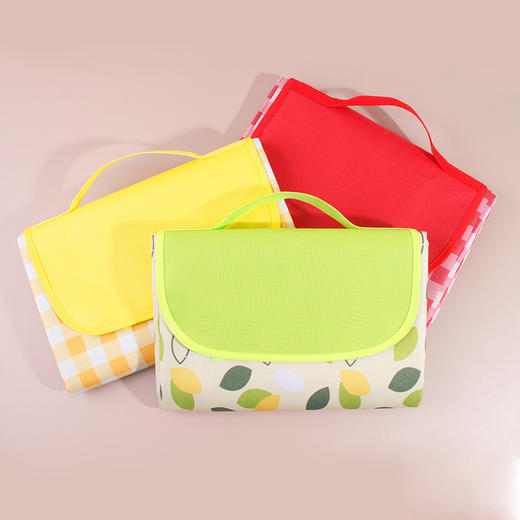 【野餐垫加厚带铝模防潮】户外野炊野营沙滩帐篷防水草坪垫子便携郊游 商品图6