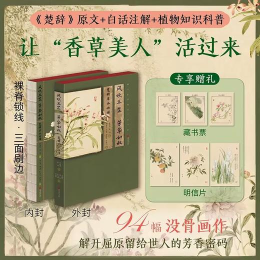 风吹兰芷 芳华如故 楚辞草木画谱 商品图2