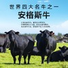 【原肉整切 不用二次腌制】【共80串】喜盼 安格斯牛肉烧烤串/内蒙古羔羊肉串 烤箱/空气炸锅快手烹饪 商品缩略图7