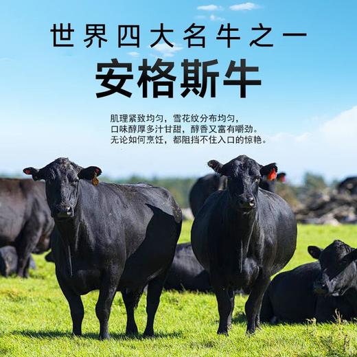 【原肉整切 不用二次腌制】【共80串】喜盼 安格斯牛肉烧烤串/内蒙古羔羊肉串 烤箱/空气炸锅快手烹饪 商品图7