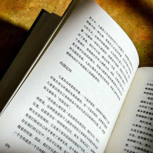 童年的秘密 大夏书系 蒙台梭利 儿童教育成长 儿童心理 商品图7