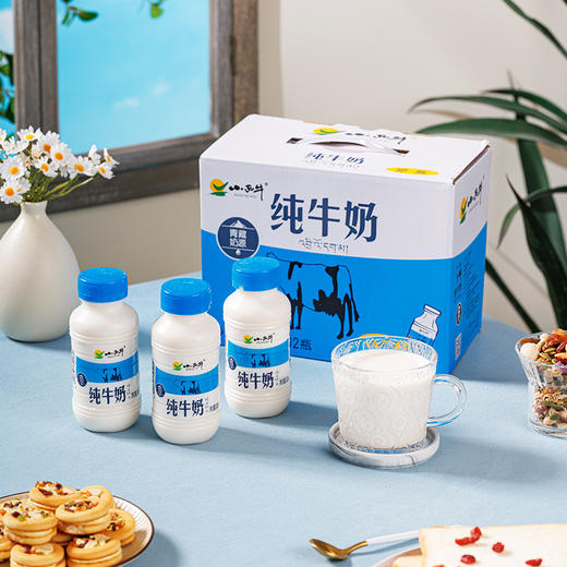 【光明&小西牛】青藏高原纯牛奶 青海牛奶 高原特色瓶装牛奶243ml*12瓶 商品图3