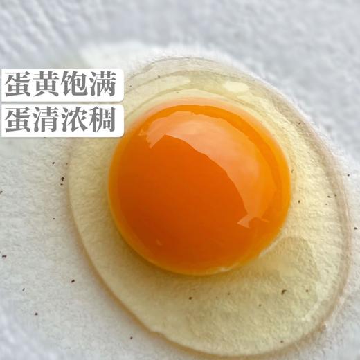 【土家高山散养 富硒黑土鸡鸡蛋】蛋香醇正，鲜香无腥，蛋白Q弹，蛋黄软糯绵密【顺丰发货】 商品图3
