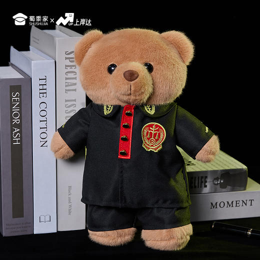 【实付满199送钥匙扣】【法官站姿熊】可定制创意毛绒职业小熊公仔儿童玩具服装可脱送礼礼物 商品图7