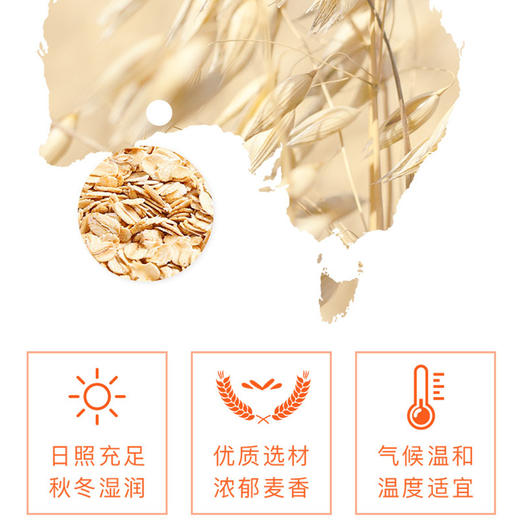 红枣牛奶燕麦片560g内含28g*20包独立包装澳洲燕麦高钙高铁早餐即食家庭囤货装 商品图5