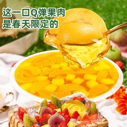 仙之宝500克什锦果冻 商品图6