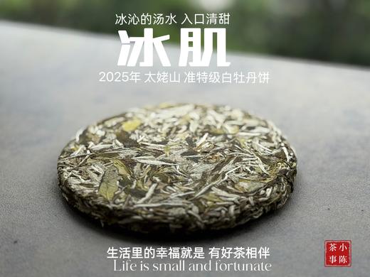 【新茶上市】《冰肌》2025准特级白牡丹饼，又清，又鲜，又香，冰雪微甜，清雅不可方物（1饼收藏装） 商品图2