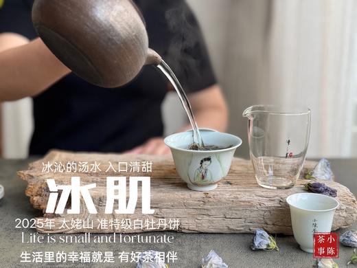 【新茶上市】《冰肌》2025准特级白牡丹饼，又清，又鲜，又香，冰雪微甜，清雅不可方物（1饼收藏装） 商品图7