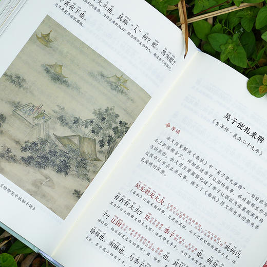 《古文观止：全本全注全译全注音彩图本》 商品图9