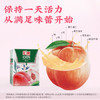 汇源100%桃汁整箱果汁健康饮料200ml*24盒节日送礼宴请 /水饮冲调 /饮料 /果蔬汁/饮料 商品缩略图3