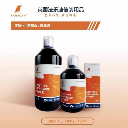 英国法乐迪鸽药【活力酵素】1000mL/消化酶/促进消化转换/酸水宝/酵素 商品图3