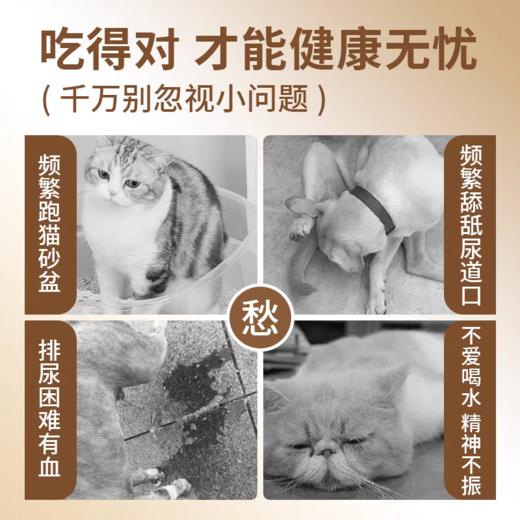 益宠堂益石丹宠物猫狗膀胱利尿泌尿道护理营养补充剂100颗 商品图2
