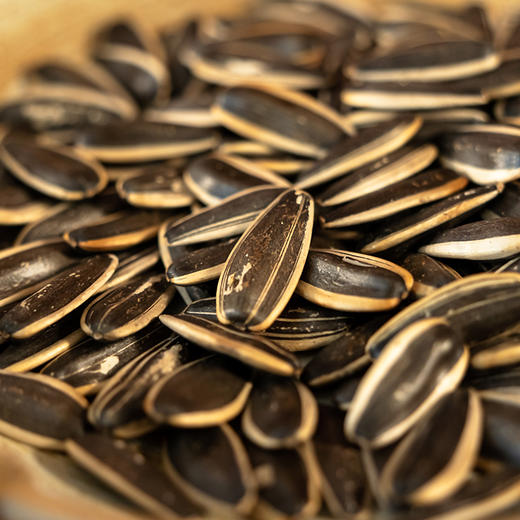 沁树原味瓜子98g 商品图1