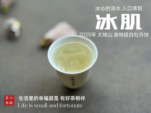 【新茶上市】《冰肌》2025准特级白牡丹饼，又清，又鲜，又香，冰雪微甜，清雅不可方物（1饼收藏装） 商品图12
