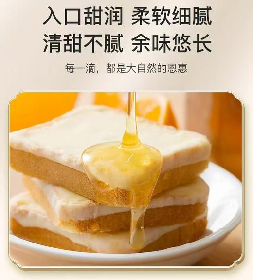 腊峰蜂业-秋蜜 1瓶*500g（枣花蜜）厂家直发 商品图2