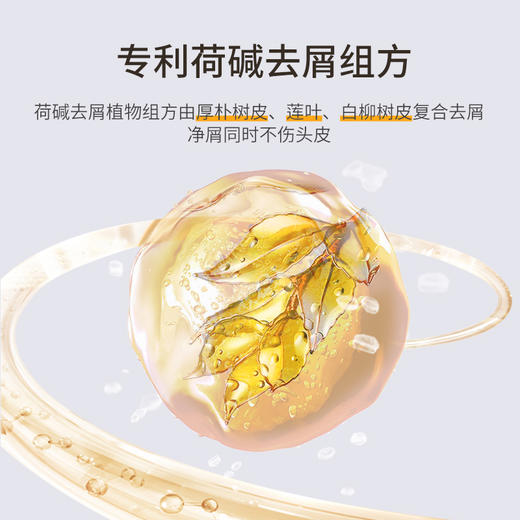 【甄沐线下】甄沐-二硫化硒去屑洗发水*2+替换装*2 商品图2