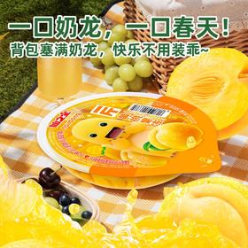 仙之宝500克什锦果冻