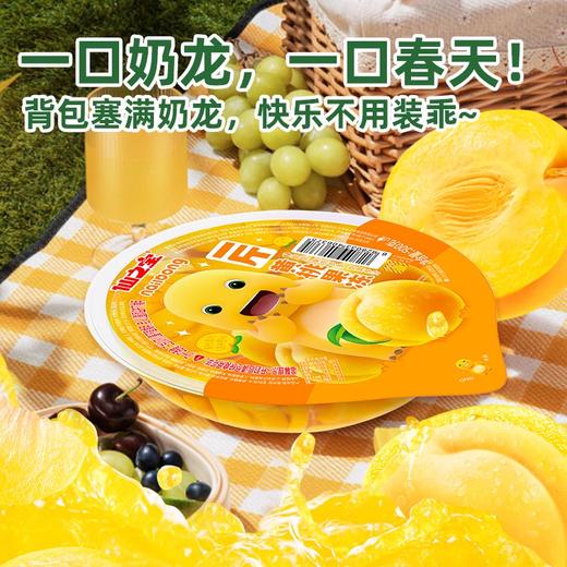 仙之宝500克什锦果冻 商品图0