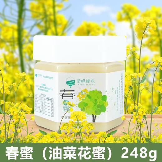 腊峰蜂业-春蜜 1瓶*248g（油菜花蜜）厂家直发 商品图0
