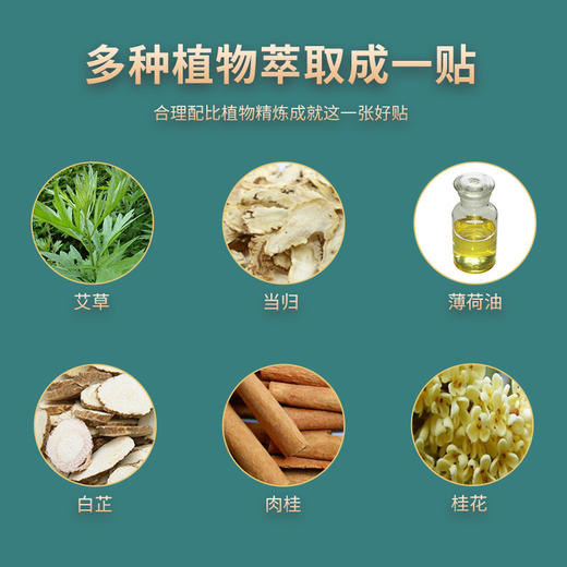 国药药材艾草膝盖贴肩周颈椎贴穴位贴膏药贴腰疼腰痛艾灸贴艾草贴 商品图3