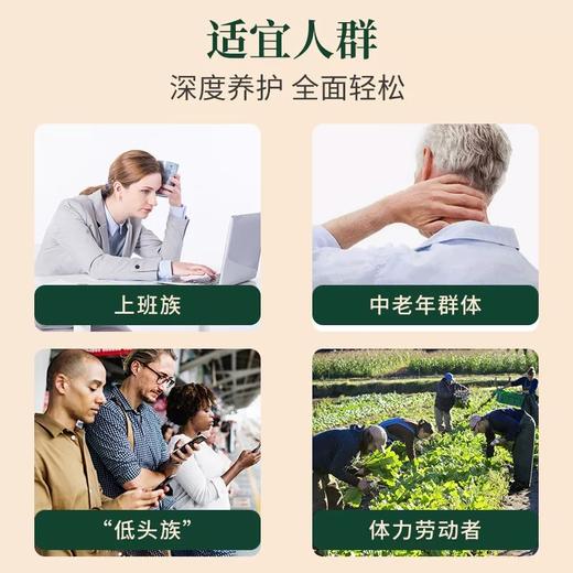 【多味草本】云南白药 艾草颈椎贴/膝盖贴/肩周贴 12贴/盒 舒适透气 商品图3