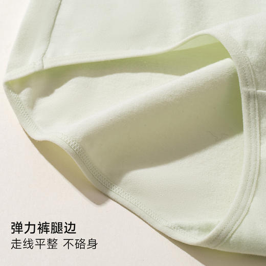 云感棉精梳棉净色大版中高腰女士三角内裤2862/2888/2887 商品图6