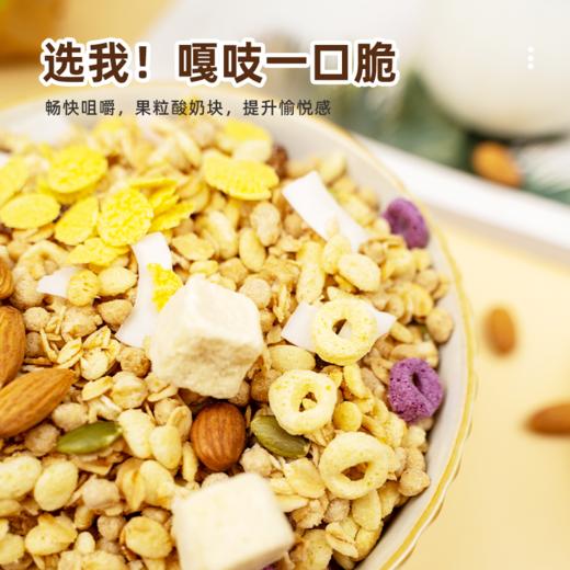 大果粒酸奶坚果燕麦脆500g袋装开袋即食高膳食纤维团购福利企业零食福利 商品图4