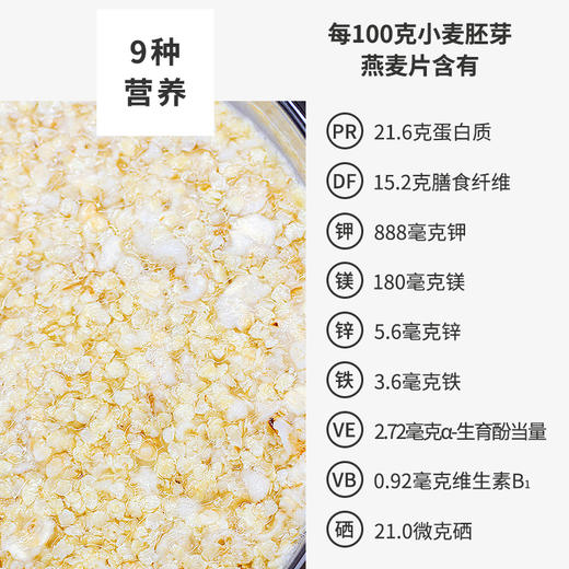 小麦胚芽燕麦片1kg罐装高蛋白高纤维0蔗糖早餐冲饮家庭囤货装 商品图2