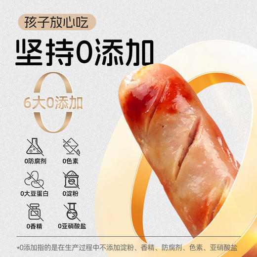 源之香 高蛋白鲜猪肉烤肠400g 原味（共8根） 商品图1
