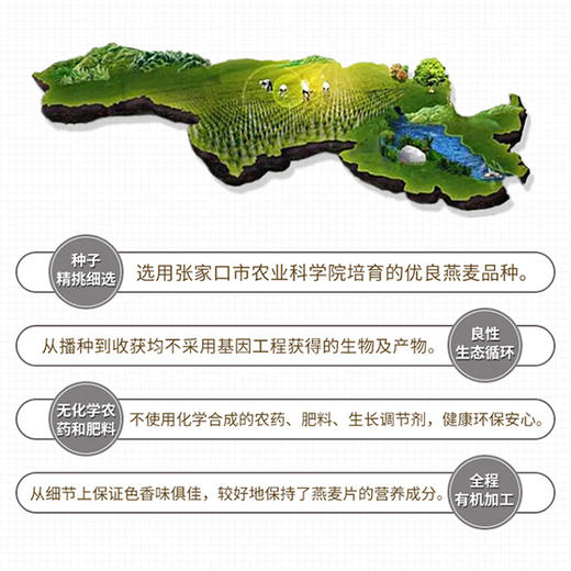 有机燕麦片礼盒1.05kg内含350g*3包独立包装高纤维即食早餐家庭健康礼赠装 商品图4