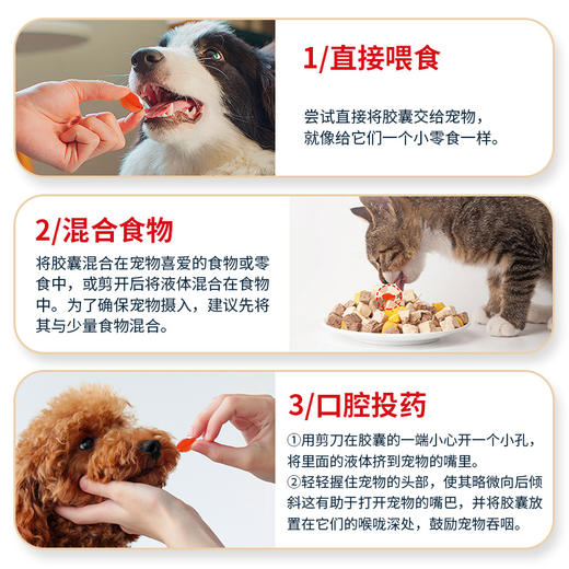 【1瓶】安替诺Antinol EAB-277 胶囊新西兰软骨素狗猫关节强炎髌骨脱位腰椎骨刺 商品图5