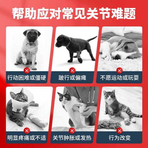 【1瓶】安替诺Antinol EAB-277 胶囊新西兰软骨素狗猫关节强炎髌骨脱位腰椎骨刺 商品图2