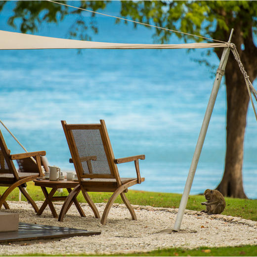 3晚/5晚【印尼安缦湾澜 | Amanwana | 实时代订】最长可用至26年3月！3晚潜水/住5付4套餐可选，享每日三餐、专车快艇往返接送、度假村免费活动等，体验Moyo岛上野奢帐篷、与鲸鲨同游！~ 商品图14