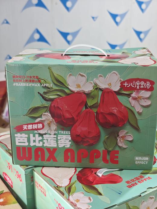 海南高山芭比莲雾  3斤礼盒装约7-15个 商品图9