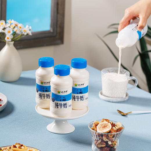 【光明&小西牛】青藏高原纯牛奶 青海牛奶 高原特色瓶装牛奶243ml*12瓶 商品图2