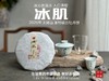 【新茶上市】《冰肌》2025准特级白牡丹饼，又清，又鲜，又香，冰雪微甜，清雅不可方物（1饼收藏装） 商品缩略图5