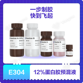 One-Step PAGE Gel Fast Preparation Kit (12%)