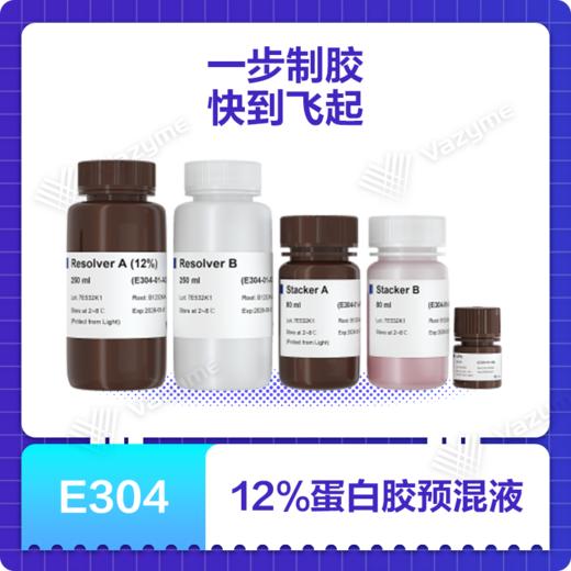 One-Step PAGE Gel Fast Preparation Kit (12%) 商品图0