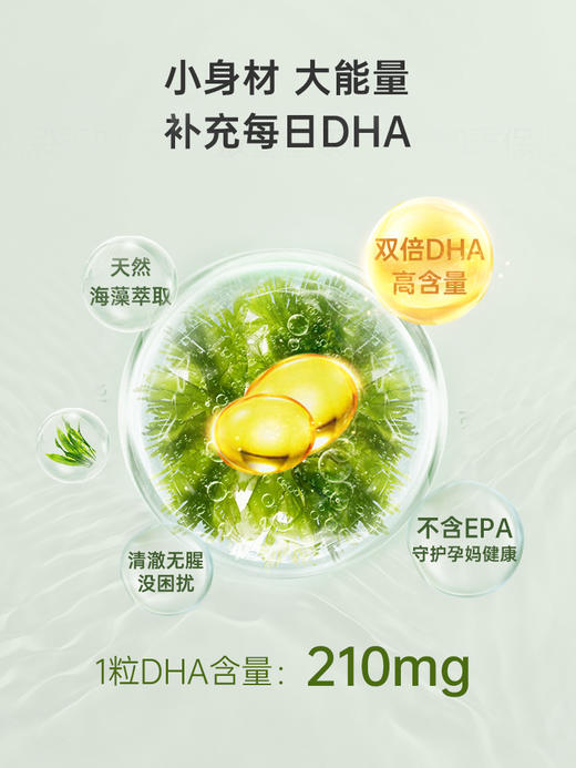 Bio Island孕妇DHA海藻油60粒 商品图3