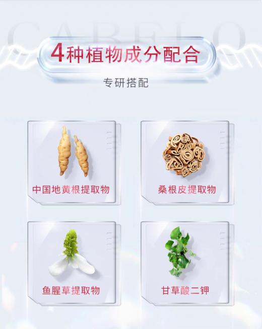 H卡蓓诺育发护发素（加强型）350ml【宝库优选】 商品图2