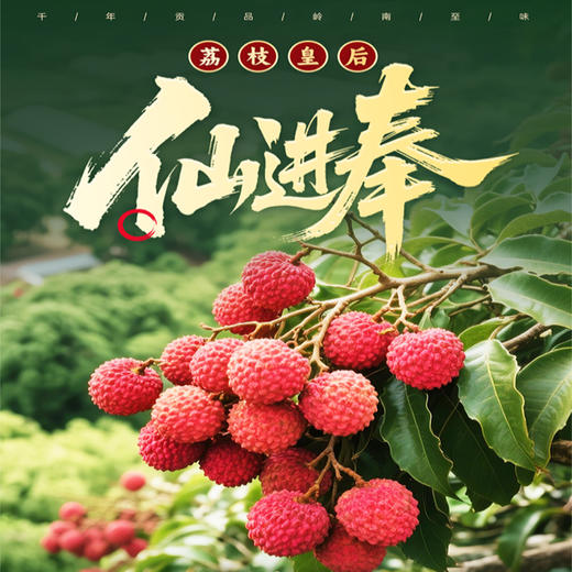 荔枝礼品卡【粤爱优选仙进奉】——贡品荔枝仙村核心产区产量有限爆甜多汁（6月25日起发货） 商品图0