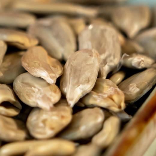 沁树原味瓜子98g 商品图2