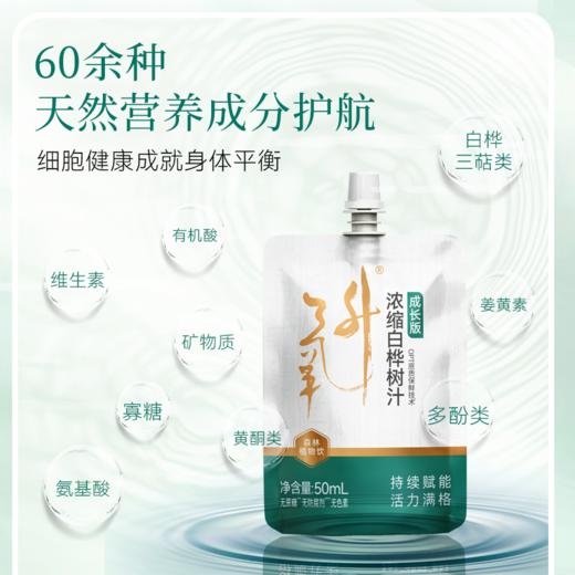 嘉桦浓缩白桦树汁成长版锁鲜浓缩汁欧盟有机小兴安岭 商品图2