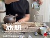 【新茶上市】《冰肌》2025准特级白牡丹饼，又清，又鲜，又香，冰雪微甜，清雅不可方物（1饼收藏装） 商品缩略图9