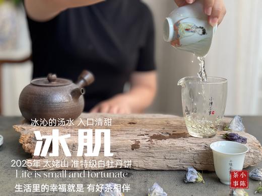 【新茶上市】《冰肌》2025准特级白牡丹饼，又清，又鲜，又香，冰雪微甜，清雅不可方物（1饼收藏装） 商品图9